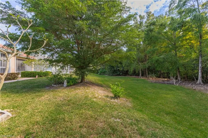 View of grassy yard