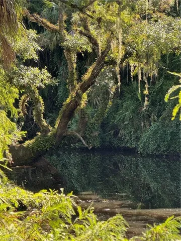 18901 Bridge Wood Ct, Alva, Florida 33920
