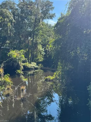 18901 Bridge Wood Ct, Alva, Florida 33920