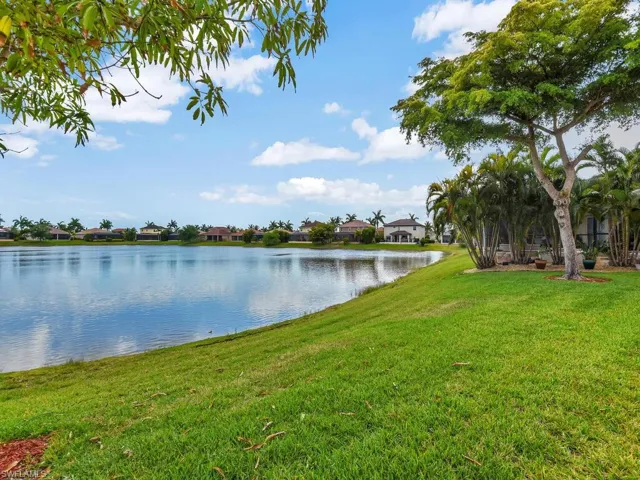 Peaceful Lake View