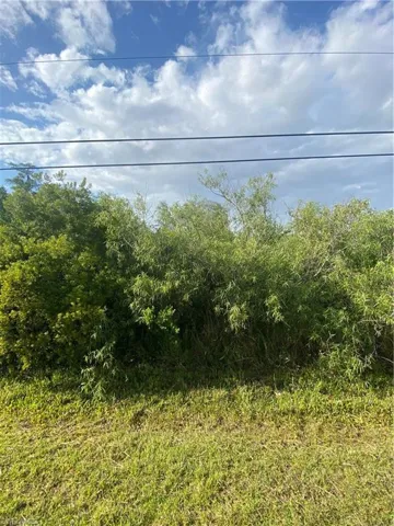 3894 Mango St, Other, Florida 33956