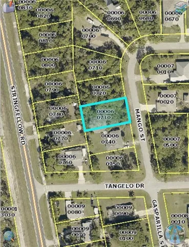 3894 Mango St, Other, Florida 33956