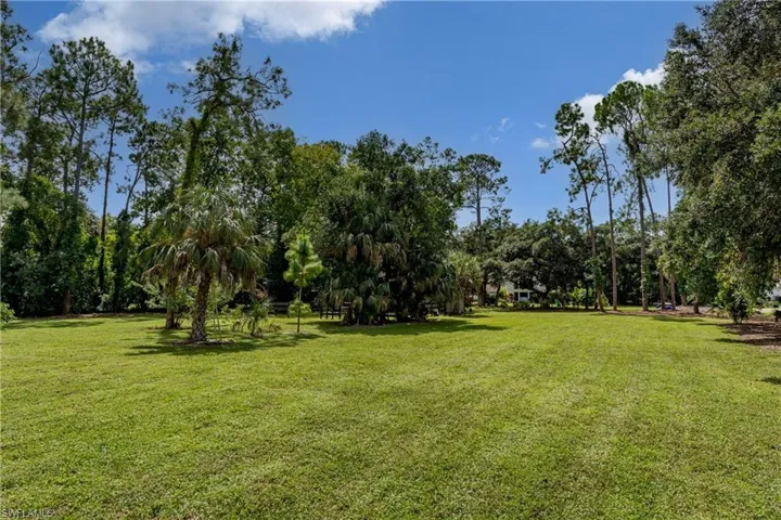 Expansive green lawn surrounded by mature trees, including tall pines and various palm species