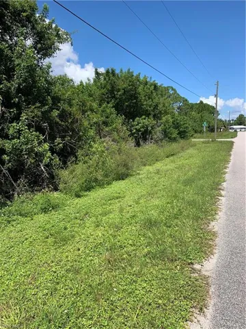 View of asphalt road with a forest view