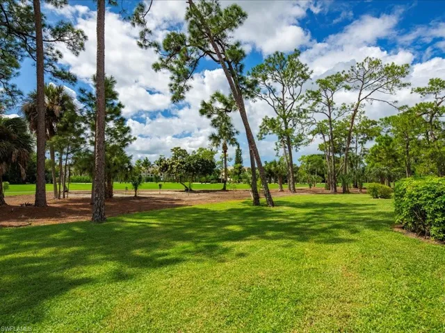 View of yard and golf course looking back to the tee box.