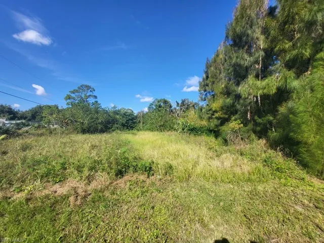 View of nature