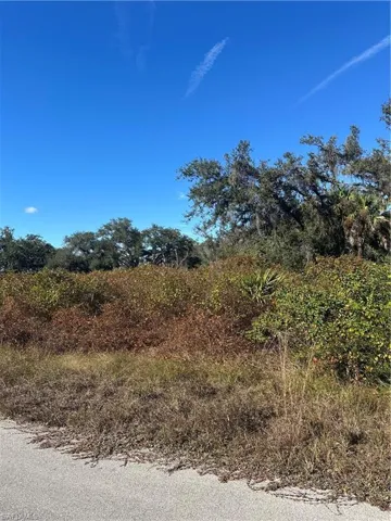 View of nature