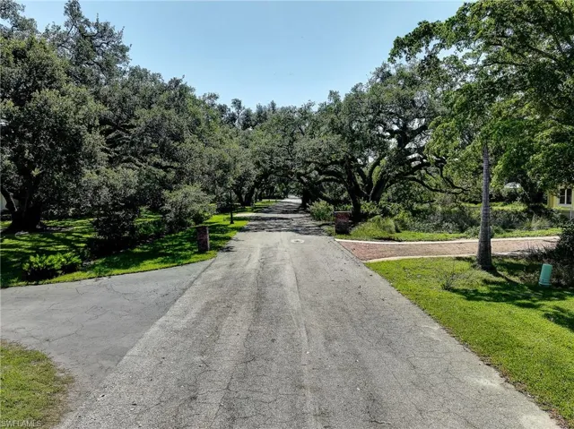 Beautiful tree lined street