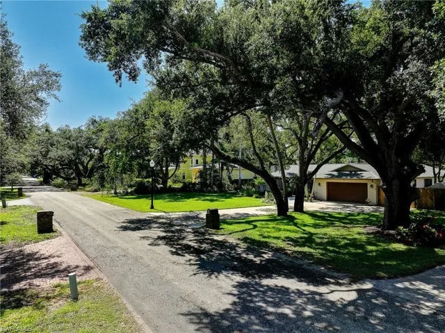 Shady oaks line the road