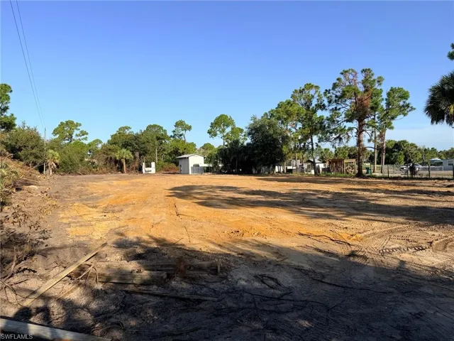 Cleared lot with natural tree-lined perimeter