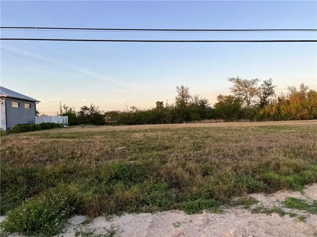 View of yard at dusk