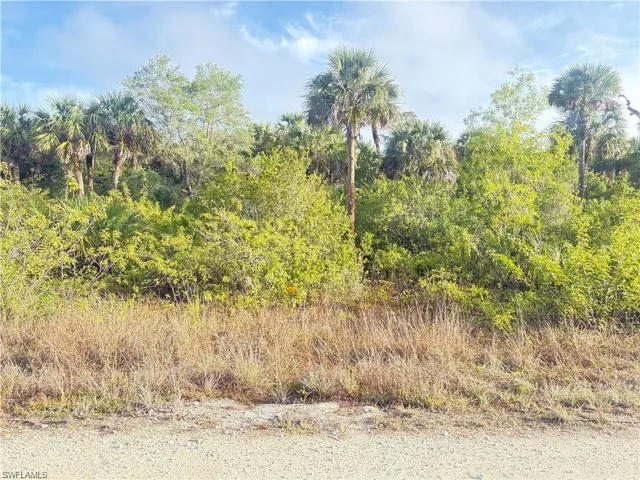 View of undeveloped land