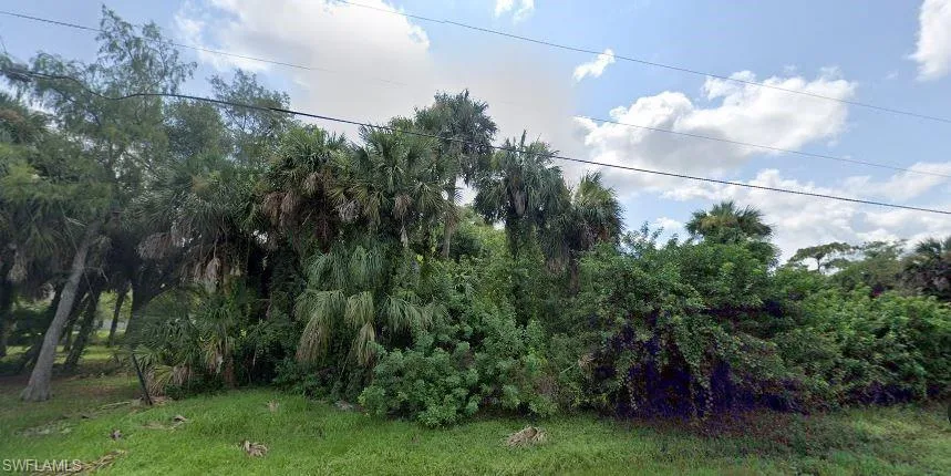 Cabbage/Sable Palms Line the Front Driveway