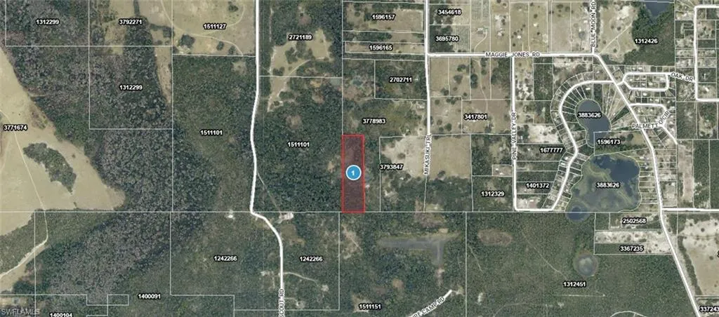 Aerial Map. Depicting the property's boundaries and surrounding parcels