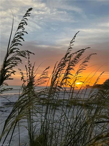 Sea oats and sunset.