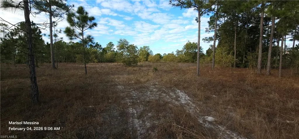 Photo from back of property facing towards road