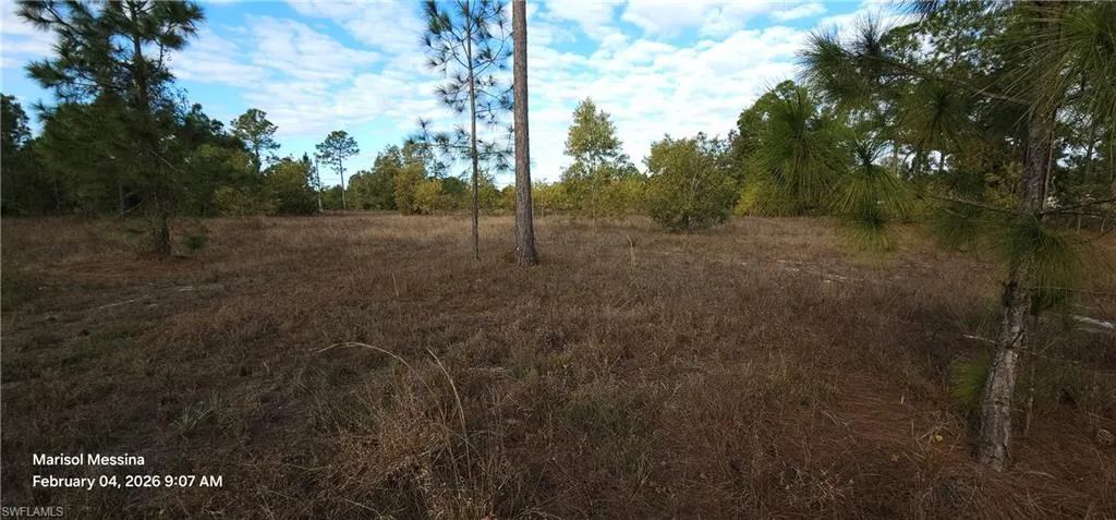 Photo from back of property facing towards road
