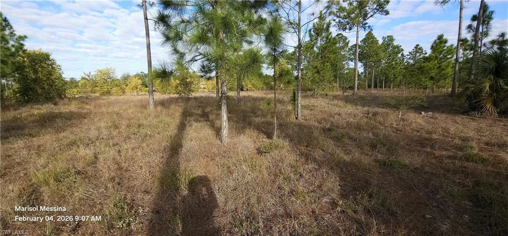 Photo from back of property facing towards road
