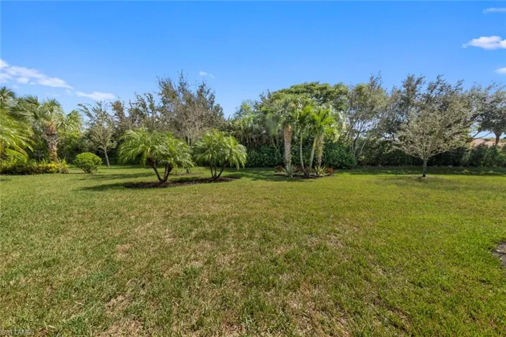 Large private back yard