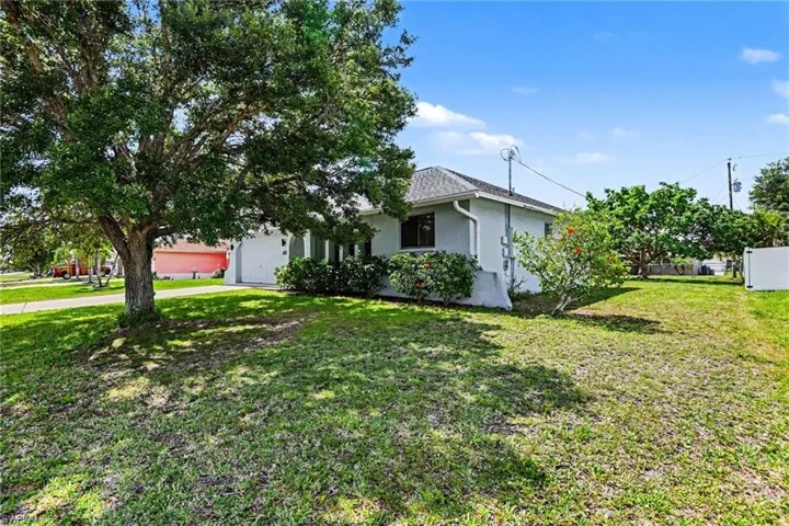 large oak tree in front