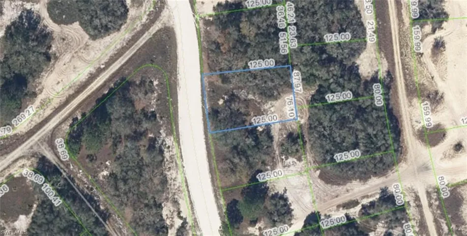 333 Wildwood Dr, Lake Placid, Florida 33852