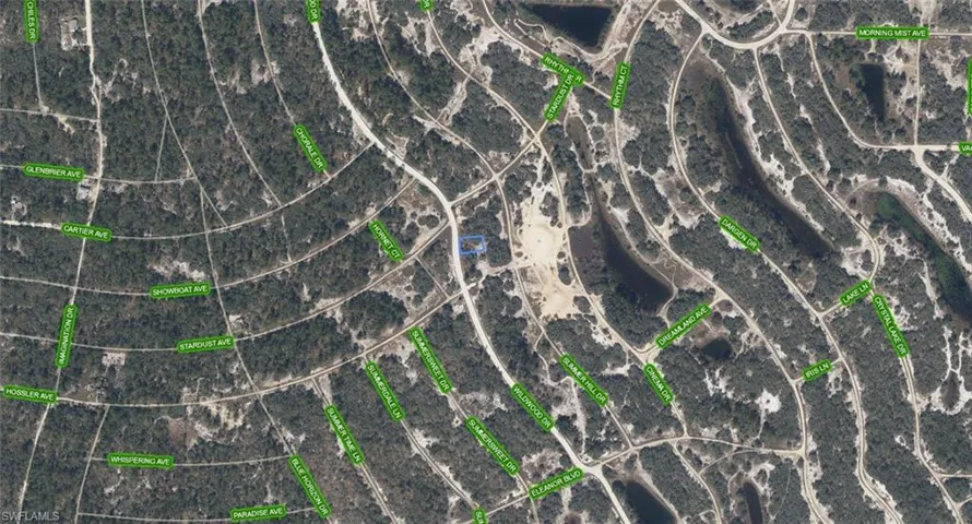 333 Wildwood Dr, Lake Placid, Florida 33852