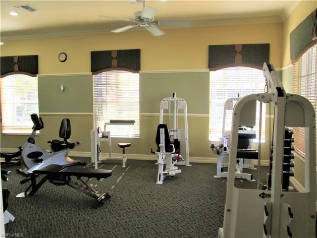 Gym with plenty of natural light, ornamental molding, and ceiling fan