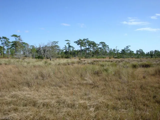 View of local wilderness Association Photos