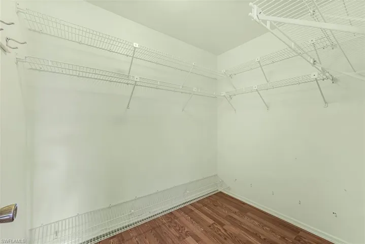 Spacious closet with wood-type flooring