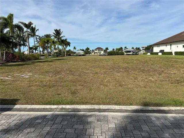 View of yard from the road looking to the back.