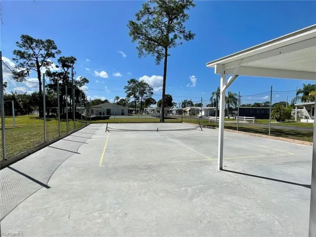 Pickleball anyone?