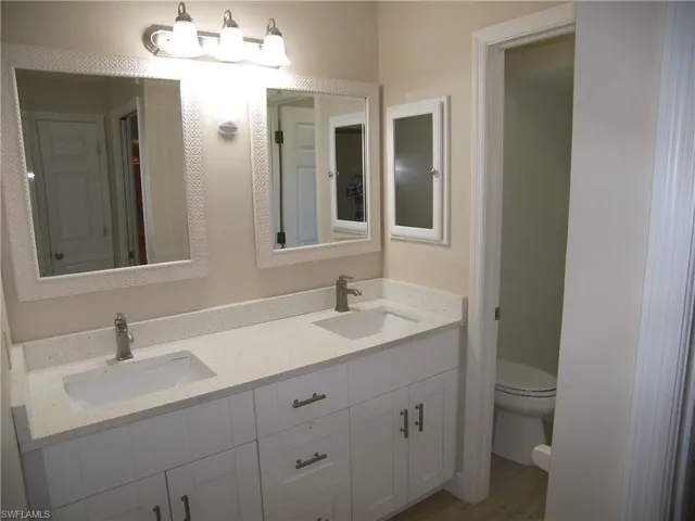 Bathroom with hardwood / wood-style flooring, vanity, and toilet