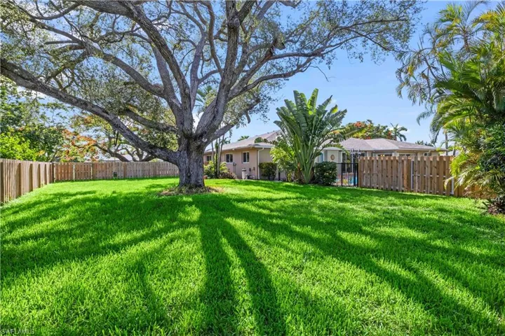 One of many giant trees that adorn this beautiful home!  A fence side yard is private and a perfect area for dogs or kids to play!