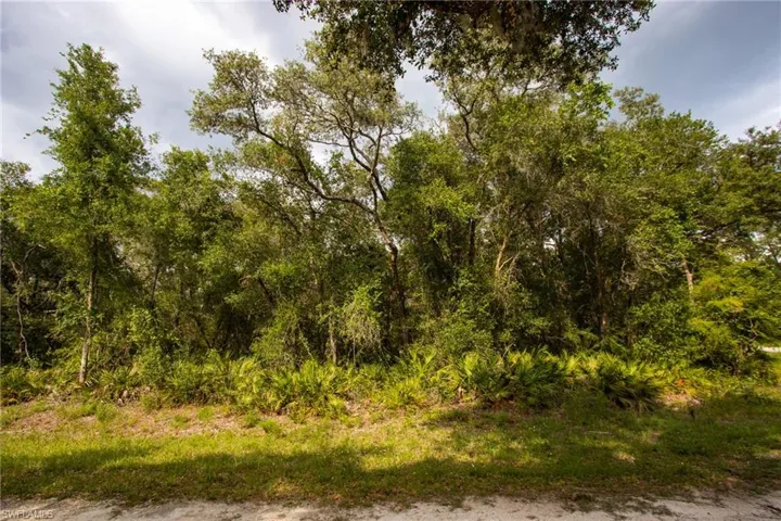 Heavily wooded lot featuring mature trees and undergrowth
