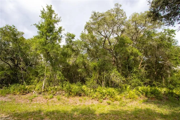 Lush natural vegetation and mature trees frame this expansive undeveloped parcel