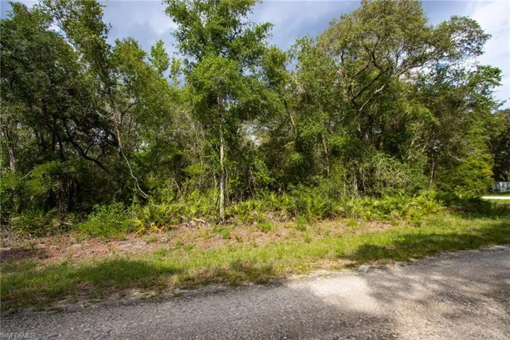 7478 N Canal St, Webster, Florida 33597