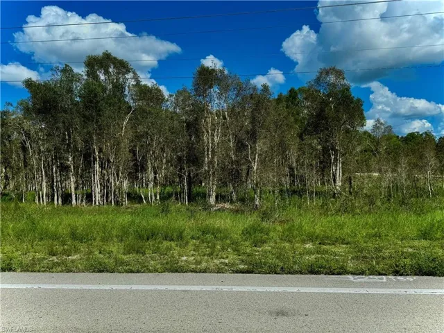 1005/1007 Homestead Rd S, Lehigh Acres, Florida 33974