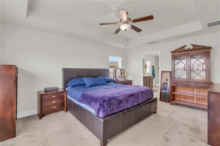 Bedroom with carpet, baseboards, visible vents, and a raised ceiling