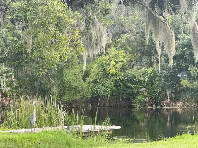 View of nature featuring a water view and a view of trees