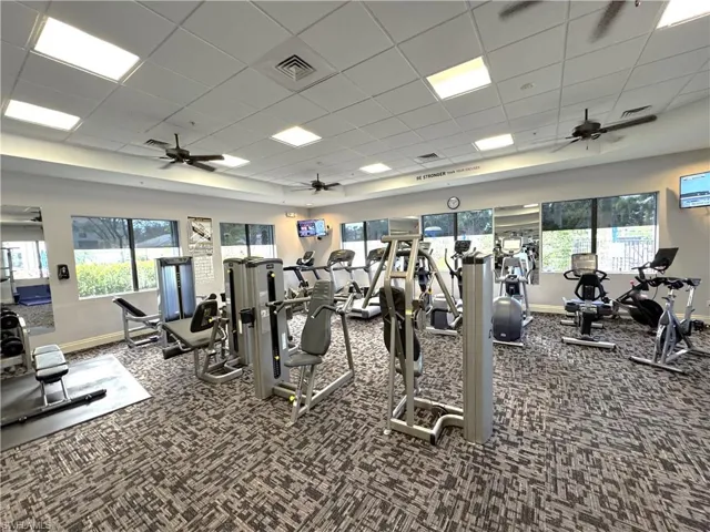Gym with ceiling fan, a healthy amount of sunlight, a drop ceiling, and carpet floors