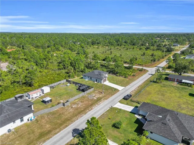 Aerial view of a forest