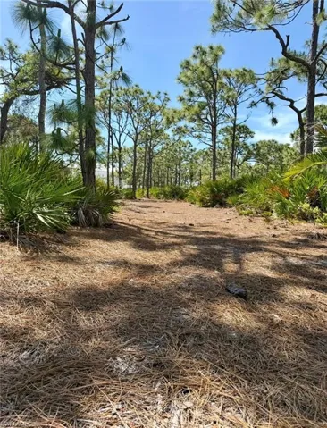 6690 Pineland Rd, Bokeelia, Florida 33922