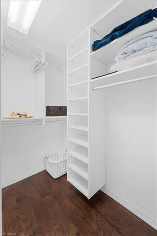 Spacious closet featuring dark wood-type flooring