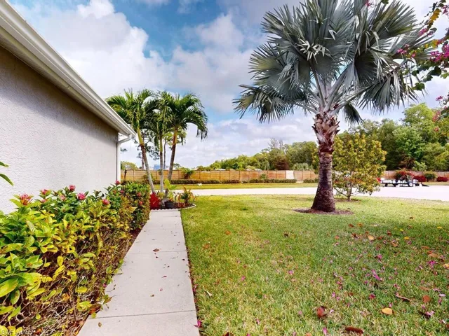 Palms with fruit trees