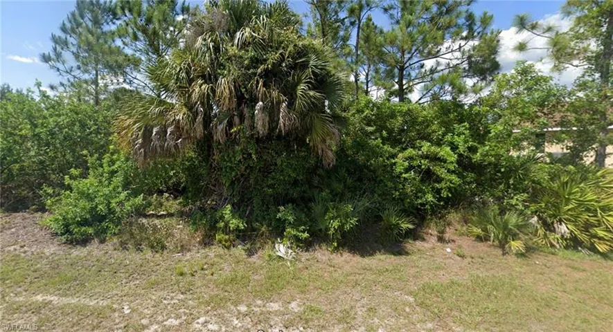 View of local wilderness