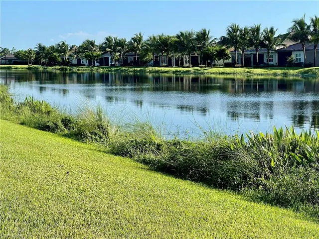watch beautiful birds of all kinds on your lake.