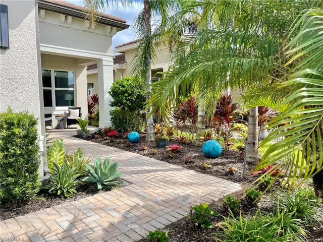 Enchanting Bromiliad Garden!