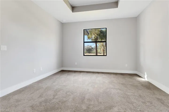 Carpeted spare room featuring a raised ceiling