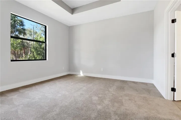 Carpeted spare room with a raised ceiling