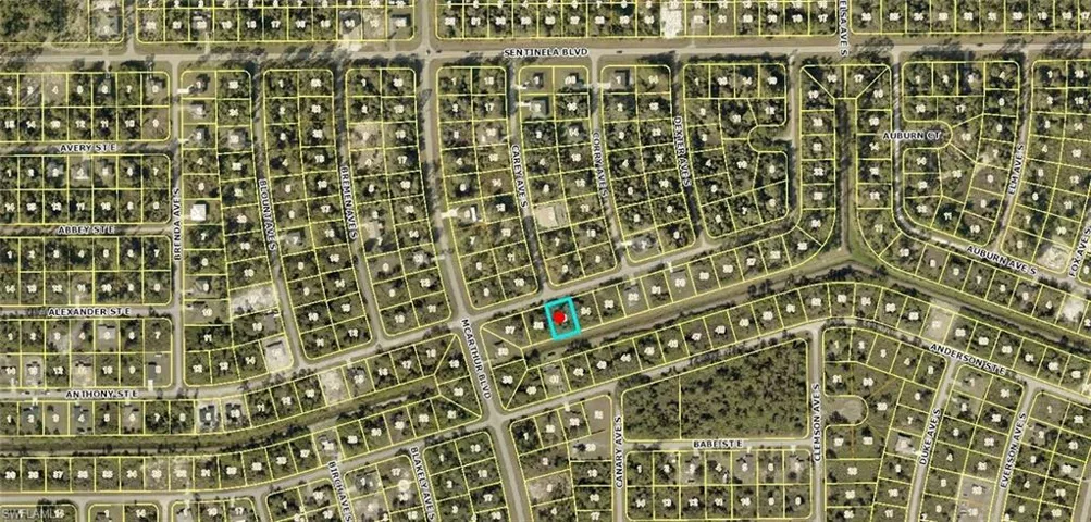 1006 Anthony St E, Lehigh Acres, Florida 33974